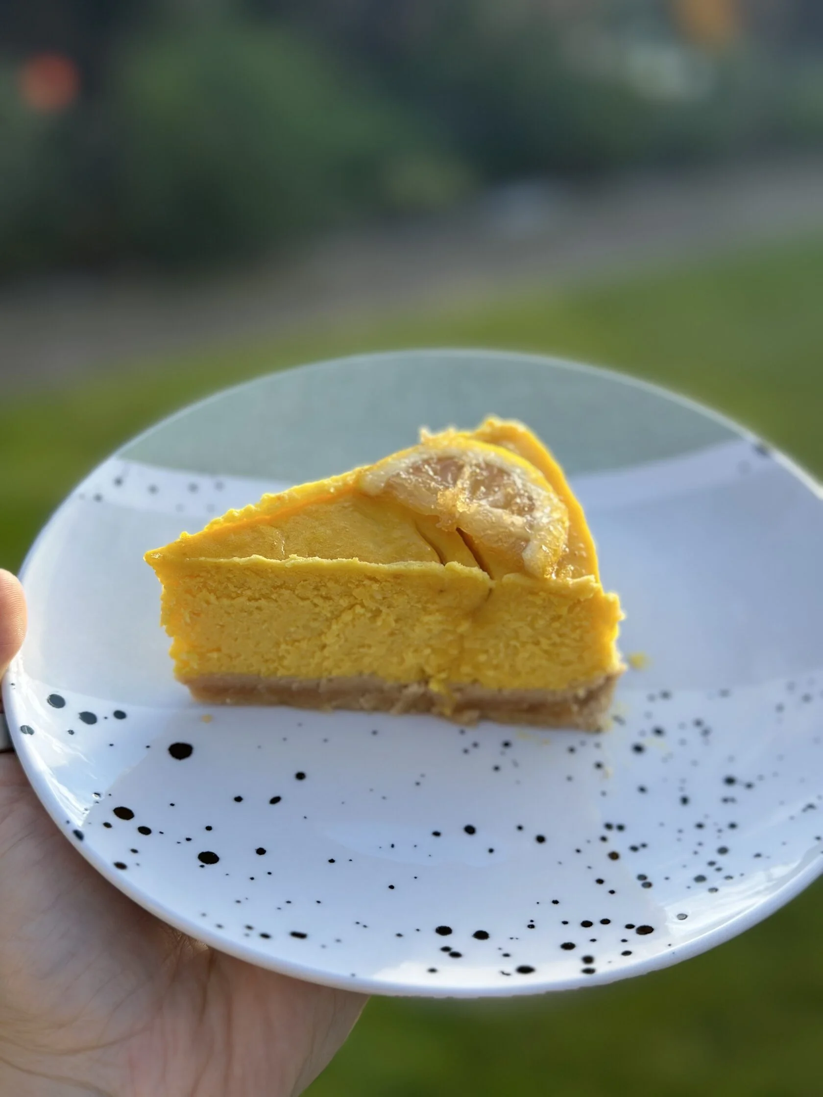 Примеры заготовок